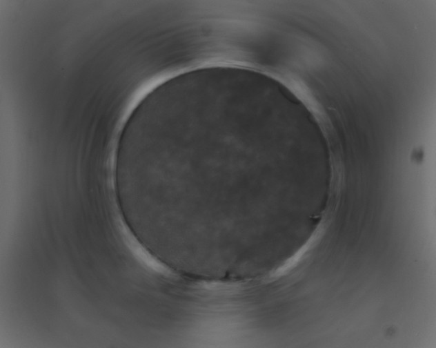 X0000094911246200712131446