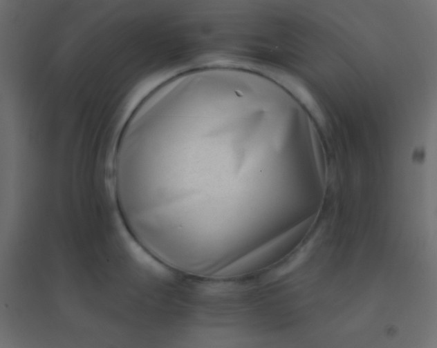 X0000094911247200712131446