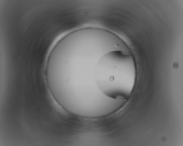 X0000094911248200712131446