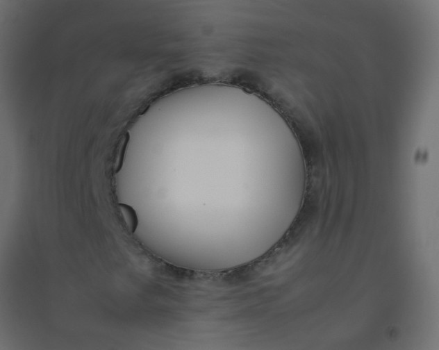 X0000094911249200712131445