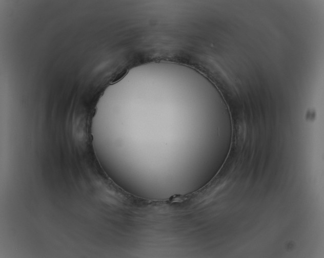 X0000094911250200712131445