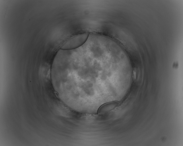 X0000094911251200712131445