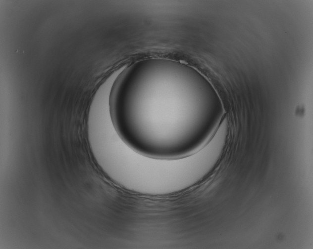 X0000094911252200712131445