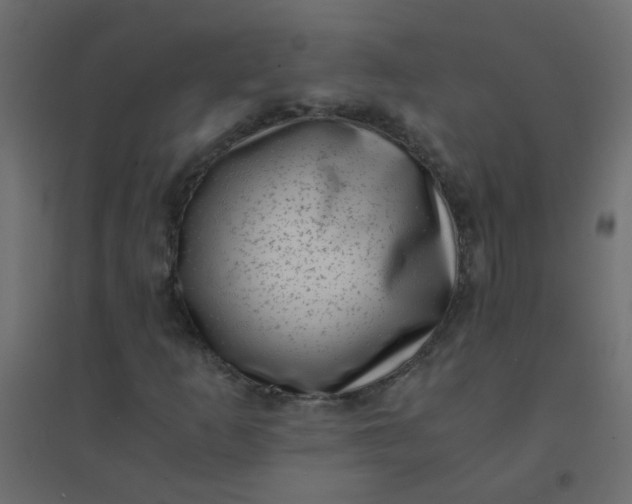 X0000094911253200712131445