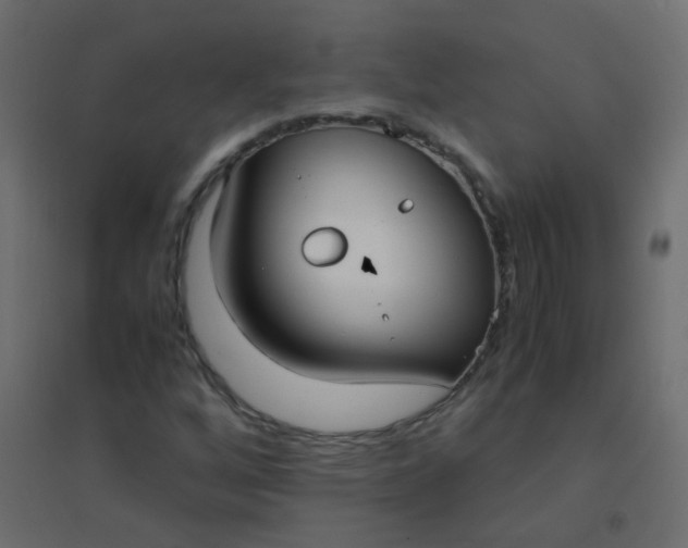 X0000094911256200712131445
