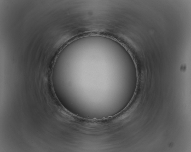 X0000094911257200712131445