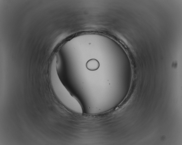 X0000094911259200712131445
