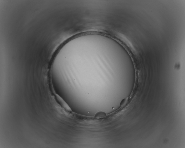 X0000094911260200712131445