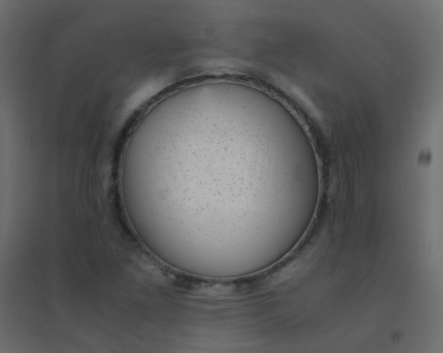 X0000094911261200712131445