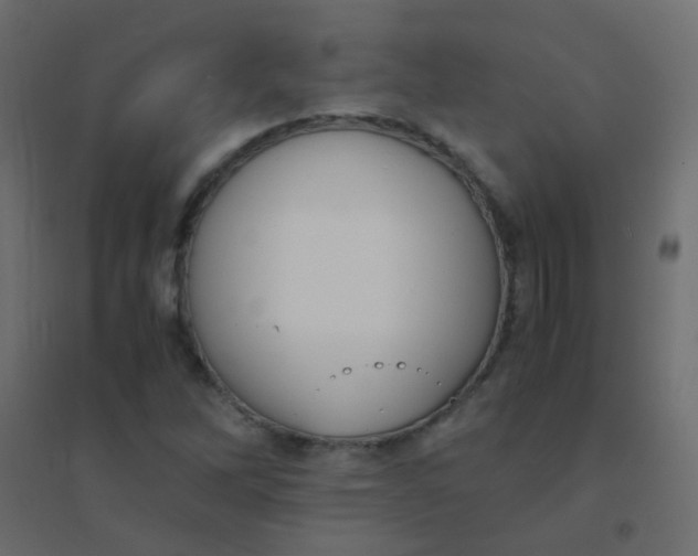 X0000094911262200712131445