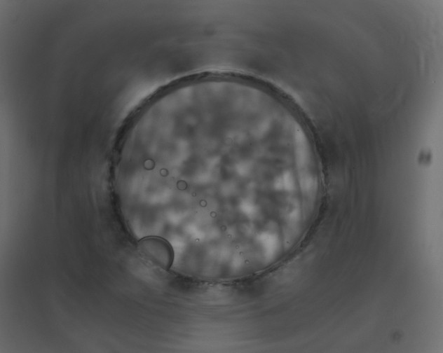 X0000094911263200712131445