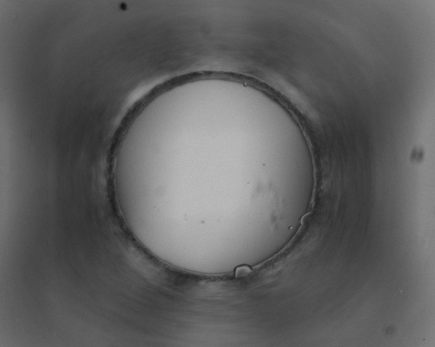 X0000094911264200712131445