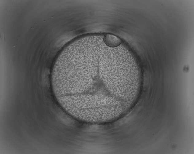 X0000094911265200712131445
