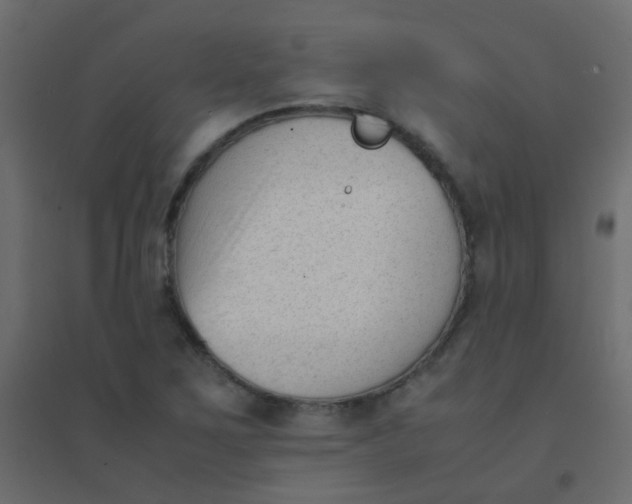 X0000094911267200712131445