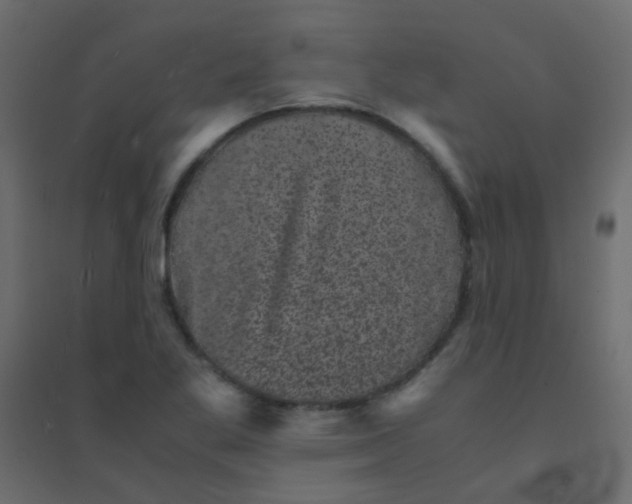 X0000094911269200712131445