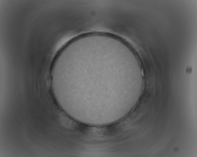 X0000094911271200712131445