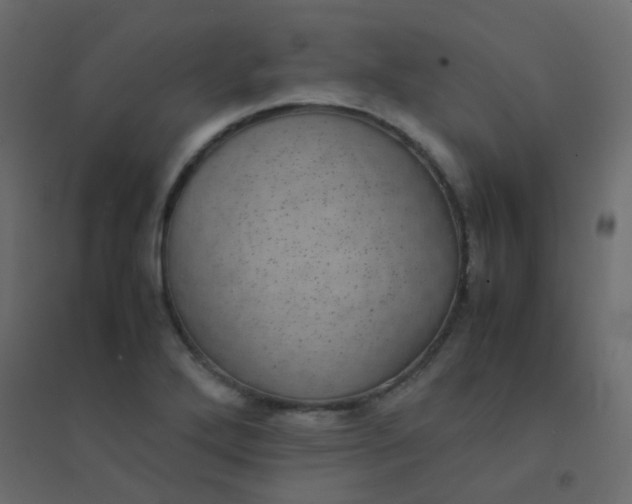 X0000094911272200712131445
