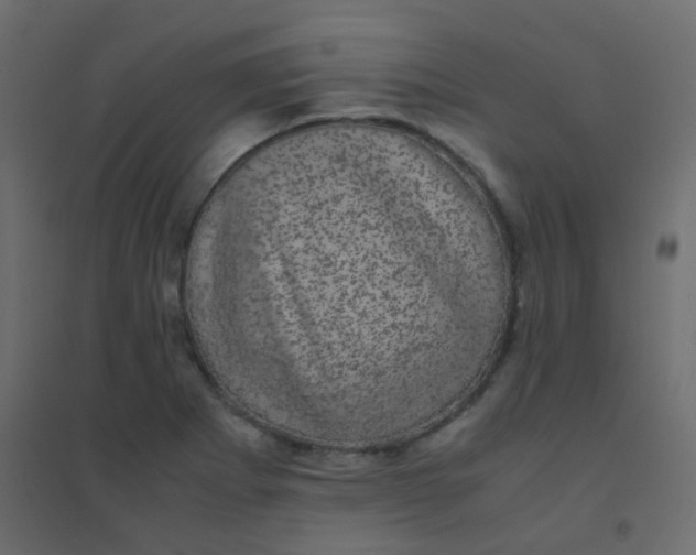 X0000094911273200712131445