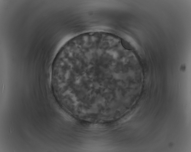 X0000094911275200712131445