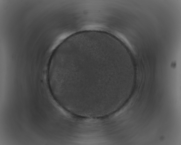 X0000094911277200712131445
