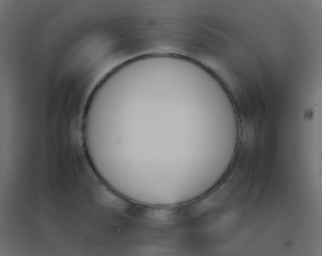 X0000094911278200712131445
