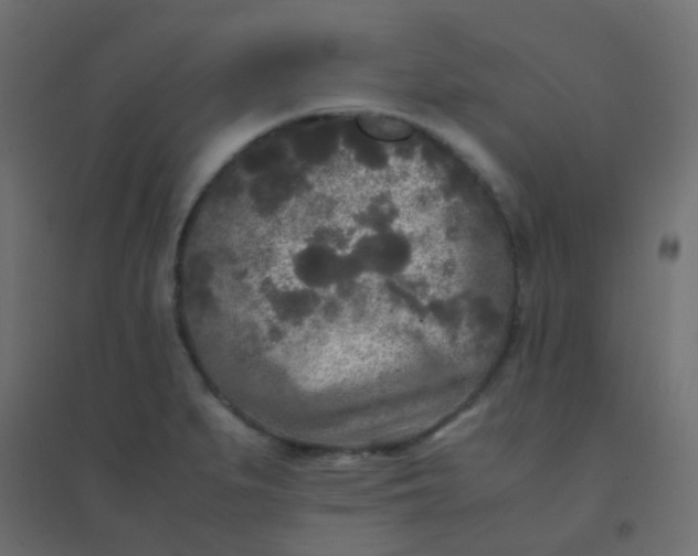 X0000094911279200712131445