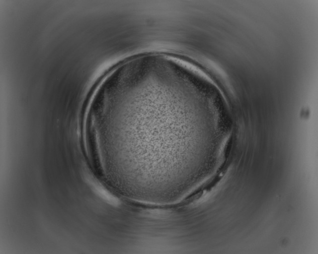 X0000094911280200712131445