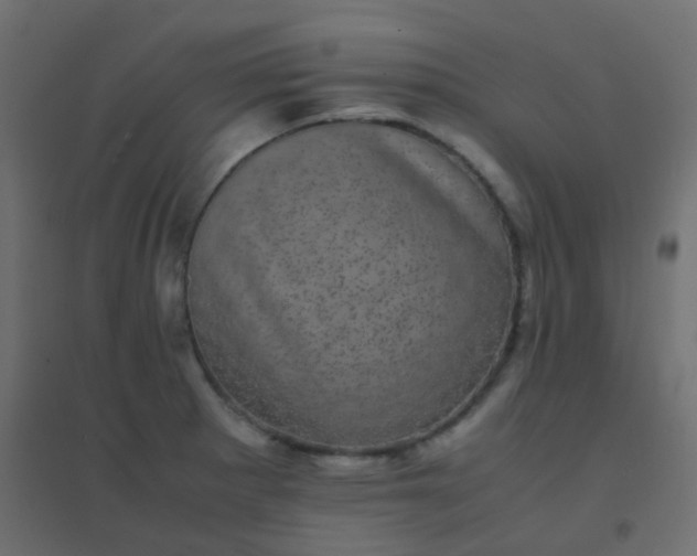 X0000094911281200712131445