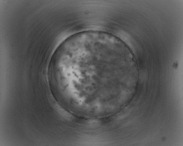 X0000094911283200712131444
