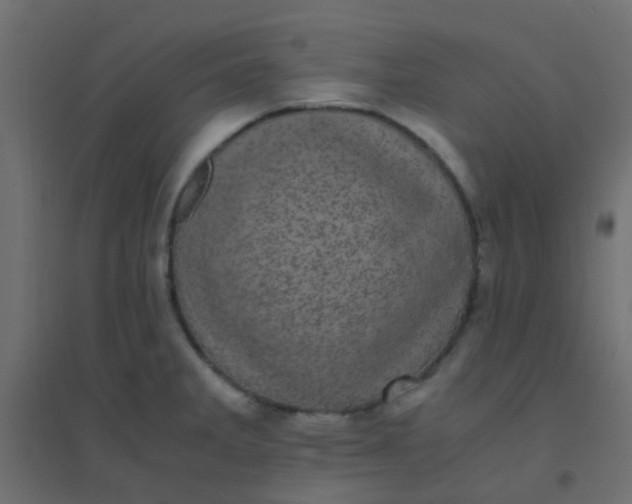 X0000094911285200712131444