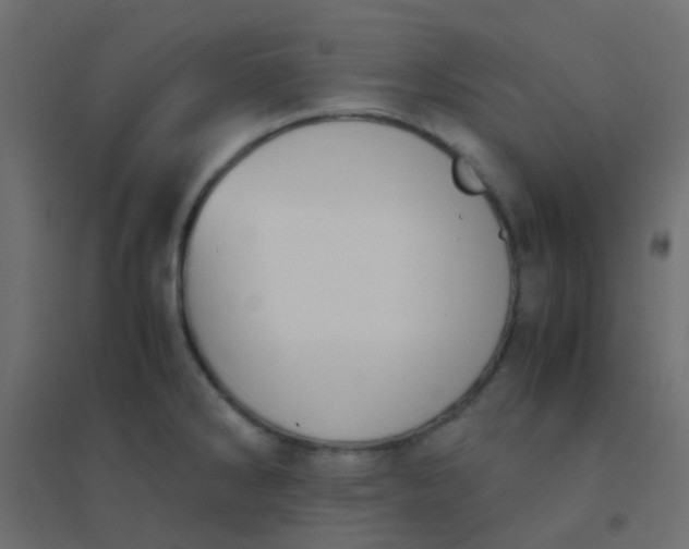 X0000094911286200712131444