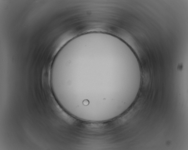 X0000094911290200712131444
