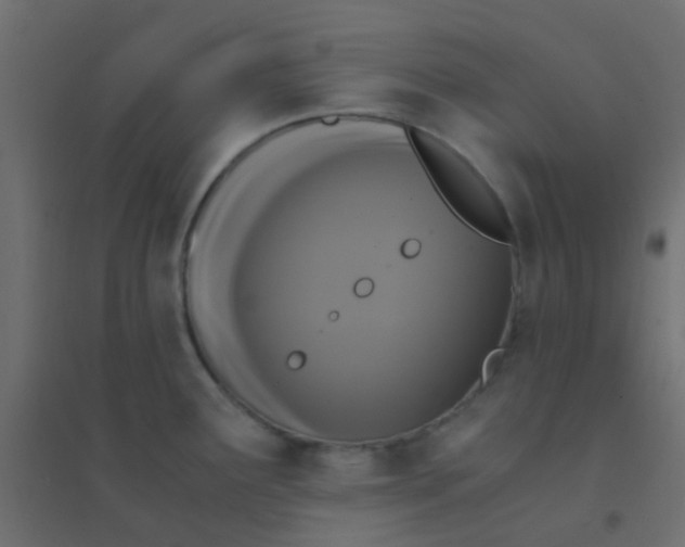 X0000094911291200712131444