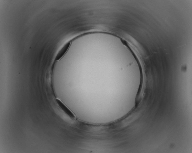 X0000094911292200712131444