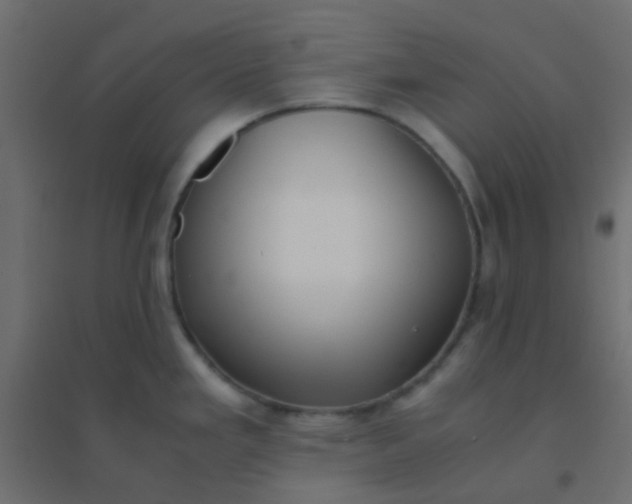 X0000094911293200712131444