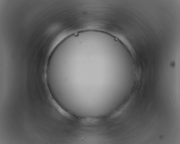 X0000094911294200712131444