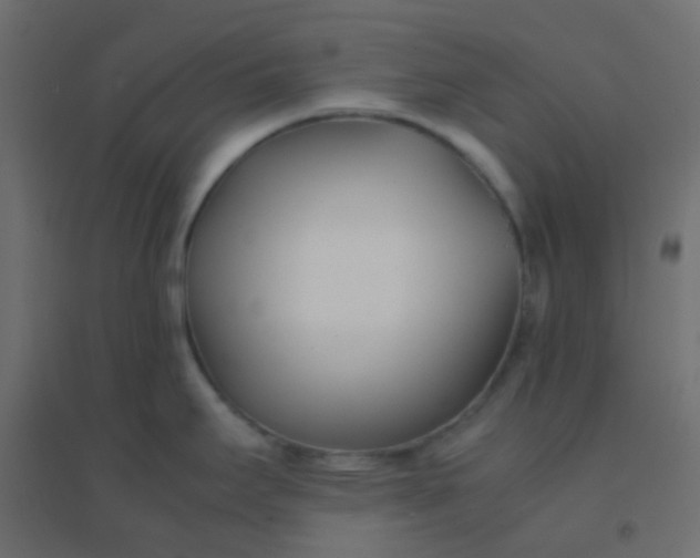 X0000094911295200712131444