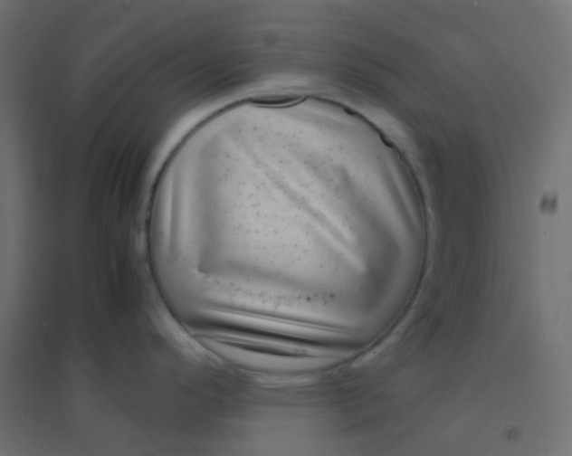 X0000094911296200712131444
