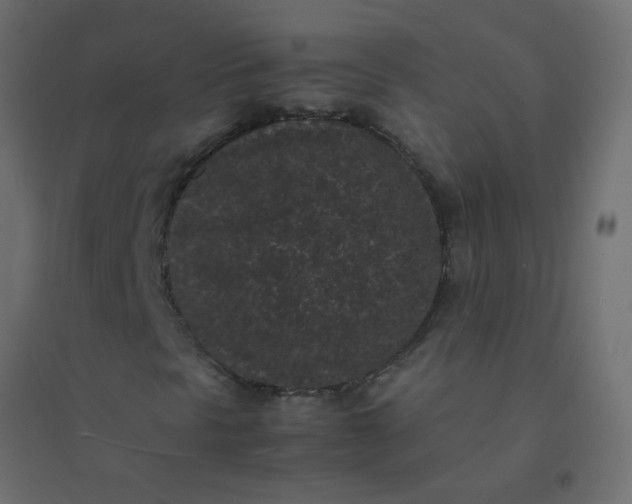 X0000094911297200712131443