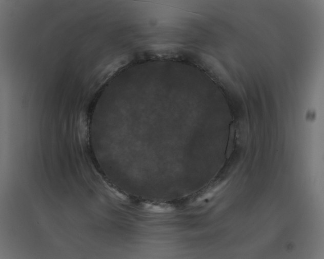 X0000094911298200712131443