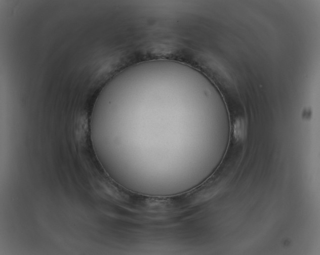 X0000094911299200712131443