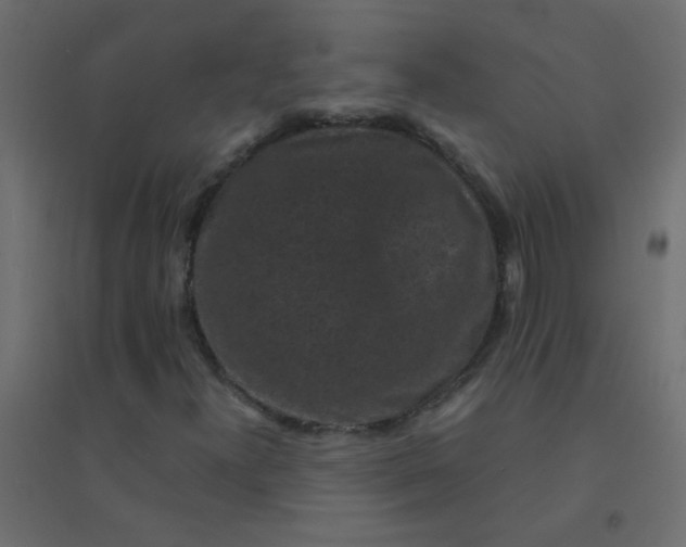X0000094911300200712131444