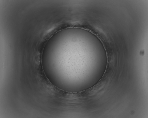 X0000094911301200712131444