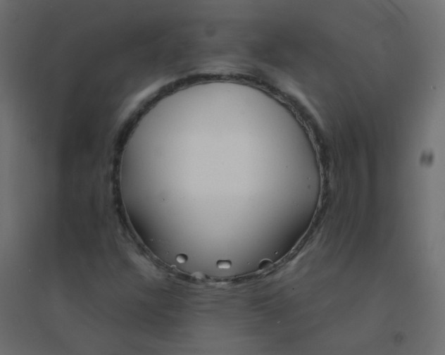 X0000094911304200712131444