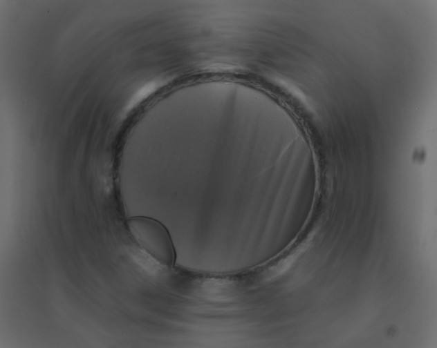X0000094911306200712131444