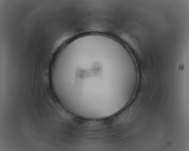 X0000094911307200712131444