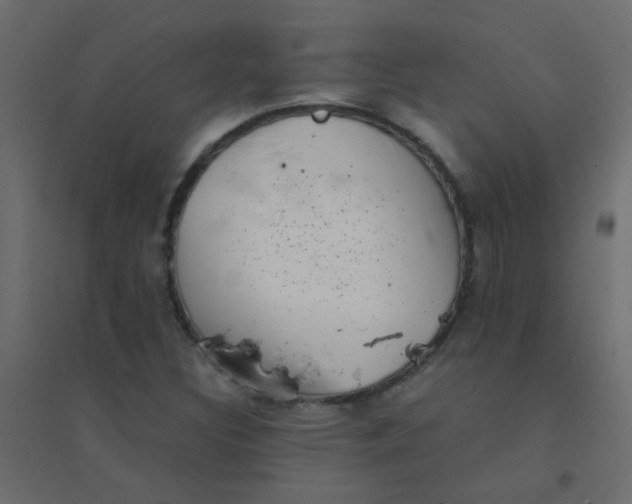 X0000094911308200712131444