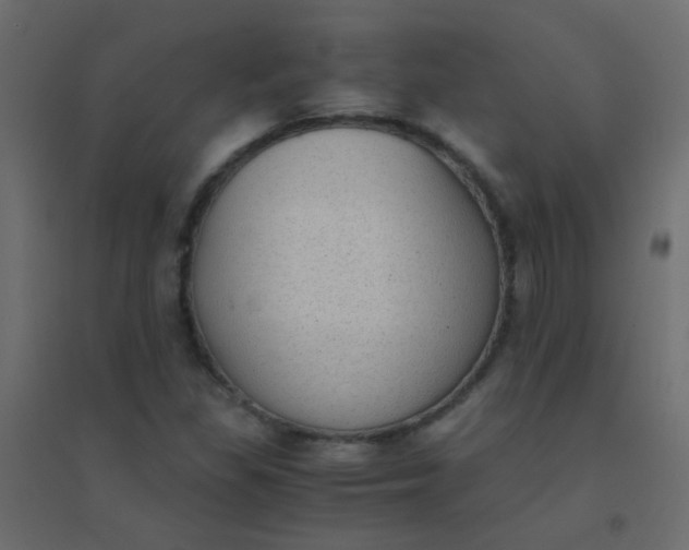 X0000094911309200712131444