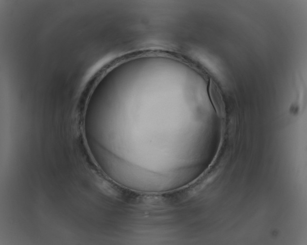 X0000094911310200712131444