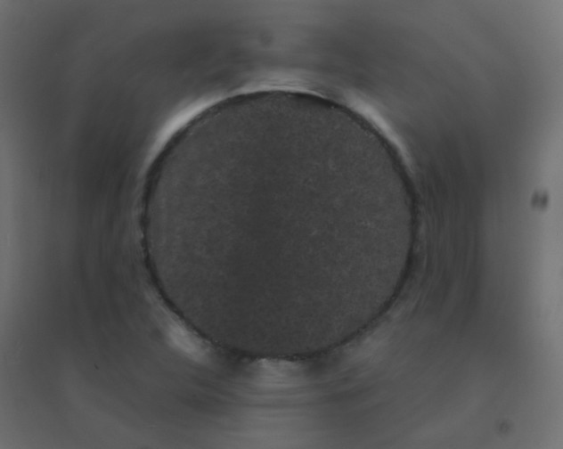 X0000094911312200712131444